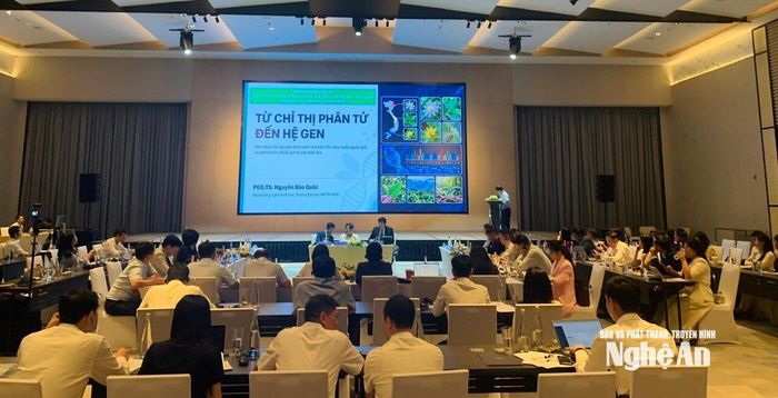 PGS.TS Nguyễn Bảo Quốc - Khoa Công nghệ Sinh học, Trường Đại học Mở Thành phố Hồ Chí Minh trình bày tham luận: "Từ chỉ thị phân tử đến hệ gen khai thác tài nguyên di truyền cho bảo tồn, truy xuất nguồn gốc và phát triển chuỗi giá trị cây bản địa". Ảnh: P.V