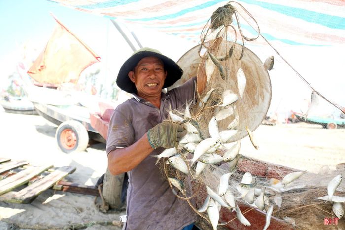  Ngư dân Trần Văn Hoài, thôn Thống Nhất phấn khởi cho biết: "Khi cho tàu ra xa bờ khoảng 5 hải lý, tôi tiến hành buông lưới. Sau một giờ đồng hồ, mẻ lưới được kéo lên với từng lớp cá mòi dày. Tôi kéo mỏi cả tay. Chuyến này, tôi may mắn được gần 6 tạ cá, trừ tiền dầu thu về hơn 5 triệu đồng". 
