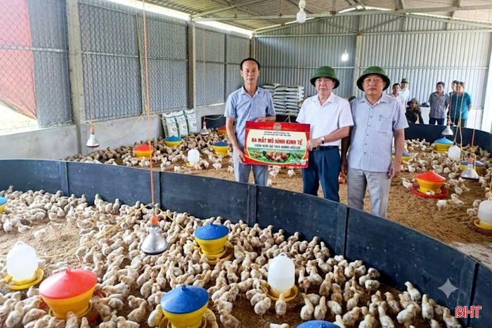 Trường Lưu ra mắt mô hình chăn nuôi gà theo hướng hữu cơ.