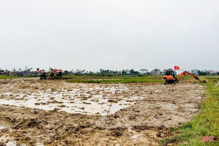 Trường Lưu tập trung chuyển đổi ruộng đất lần 3, hình thành vùng sản xuất tập trung, nâng cao hiệu quả canh tác.