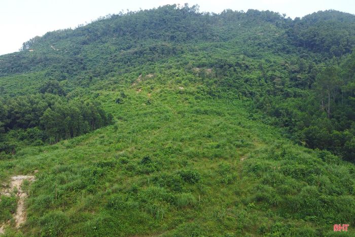 Dự án có diện tích đất dự kiến khoảng 9,97 ha, nhằm chế biến đá khai thác từ mỏ (đã hoàn thành đấu giá, có diện tích khai thác hơn 18,3 ha) đều thuộc khu vực núi Nắp Trình. Về hiện trạng và nguồn gốc đất, căn cứ bản đồ địa chính xã Kim Hoa, bản đồ giao đất giao rừng xã Sơn Thủy (cũ) và kết quả đo đạc thực tế, khu đất gồm: đất trồng rừng sản xuất do BQL rừng phòng hộ Ngàn Sâu (hiện giao khoán cho các hộ dân canh tác) và UBND xã quản lý. Phần còn lại là đất trồng cây lâu năm của 1 hộ gia đình, cùng đất giao thông và đất chưa sử dụng do UBND xã quản lý.