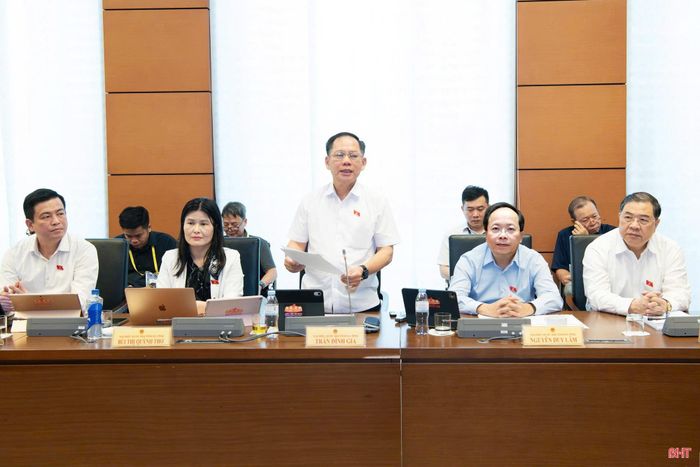 Đại biểu Trần Đình Gia - Phó Trưởng đoàn chuyên trách Đoàn ĐBQH tỉnh Hà Tĩnh phát biểu ý kiến. 