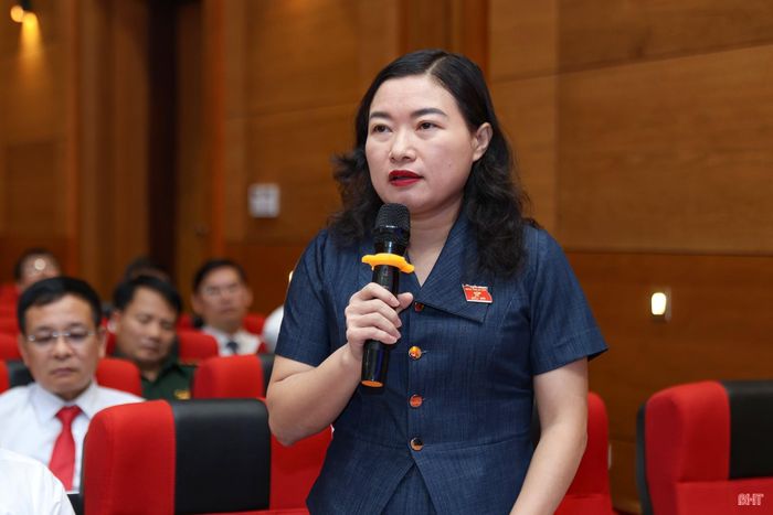 Đồng chí Nguyễn Thị Nguyệt - Phó Chủ tịch UBND tỉnh giải trình một số nội dung liên quan.