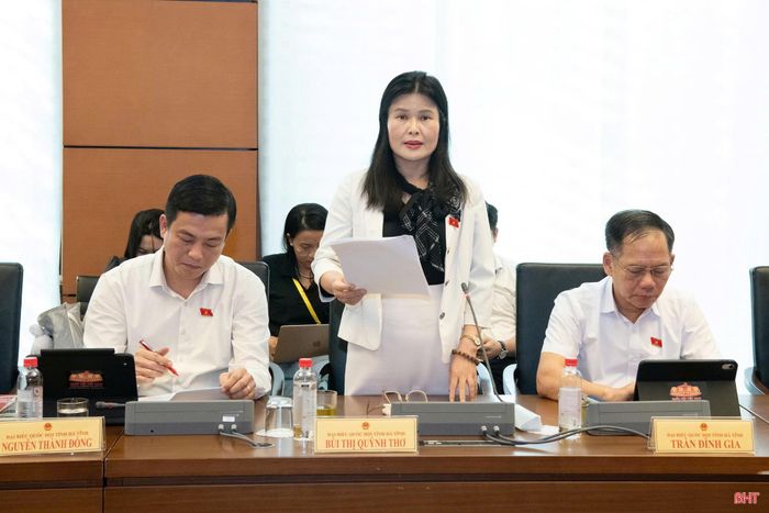 Đại biểu Bùi Thị Quỳnh Thơ - Phó Chủ nhiệm Ủy ban Công tác đại biểu của Quốc hội (Đoàn ĐBQH tỉnh Hà Tĩnh) tham gia thảo luận.