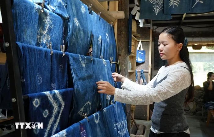 Chị Vương Thị Trang, người đồng sáng lập cơ sở Nùng Indigo tại xóm Khào, xã Quảng Uyên. (Ảnh: Chu Hiệu/TTXVN)