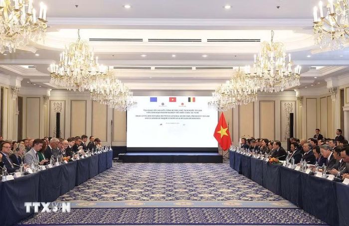 Tọa đàm cấp cao giữa Tổng Bí thư, Chủ tịch nước Tô Lâm với lãnh đạo doanh nghiệp tiêu biểu châu Âu và Bỉ. (Ảnh: Thống Nhất/TTXVN)