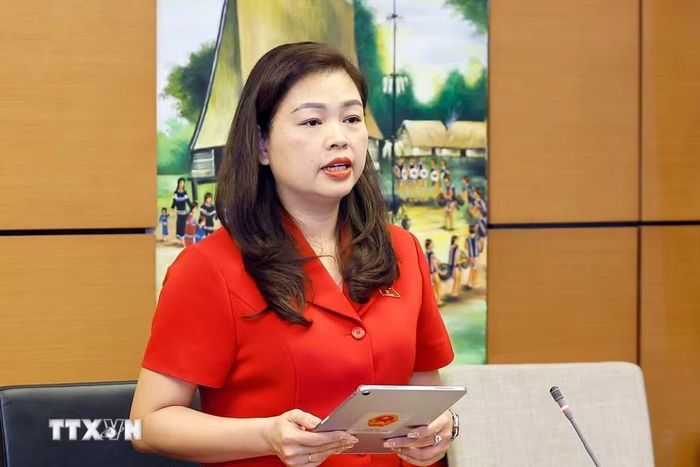 Đại biểu Quốc hội tỉnh Cao Bằng Đoàn Thị Lê An phát biểu. (Ảnh: Doãn Tấn/TTXVN)