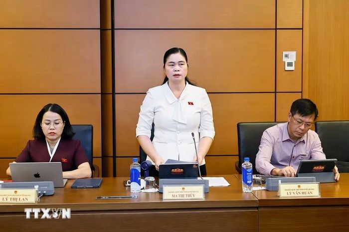 Đại biểu Quốc hội tỉnh Tuyên Quang Ma Thị Thúy phát biểu. (Ảnh: Doãn Tấn/TTXVN)
