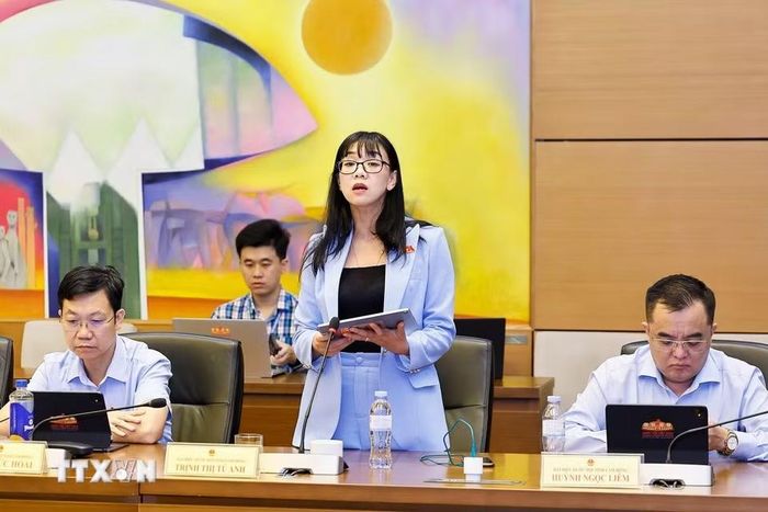 Đại biểu Quốc hội tỉnh Lâm Đồng Trịnh Thị Tú Anh phát biểu. (Ảnh: Doãn Tấn/TTXVN)