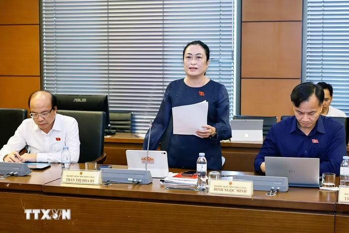 Đại biểu Quốc hội tỉnh Cà Mau Trần Thị Hoa Ry phát biểu. (Ảnh: Doãn Tấn/TTXVN)