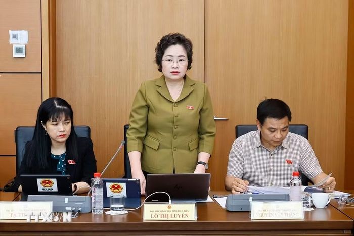 Đại biểu Quốc hội tỉnh Điện Biên Lò Thị Luyến phát biểu. (Ảnh: Doãn Tấn/TTXVN)