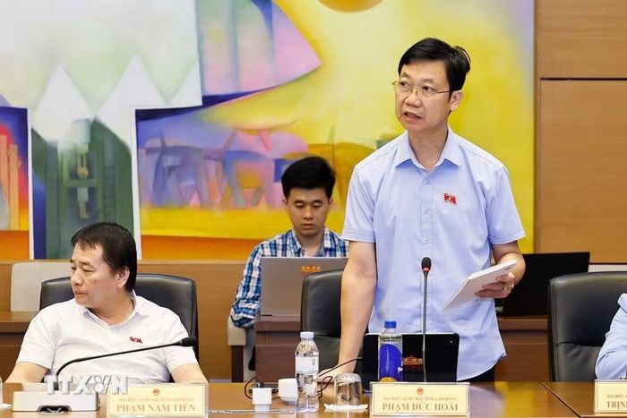 Đại biểu Quốc hội tỉnh Lâm Đồng Phạm Đức Hoài phát biểu. (Ảnh: Doãn Tấn/TTXVN)