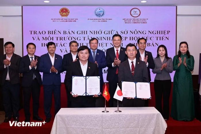 Sở Nông nghiệp và Môi trường Tây Ninh, Hiệp hội Xúc tiến Hợp tác Kinh tế Việt Nam-Nhật Bản và Công ty Cổ phần SNCD ký kết hợp tác xúc tiến phát triển vùng nông nghiệp Việt Nam-Nhật Bản. (Ảnh: PV/Vietnam+)