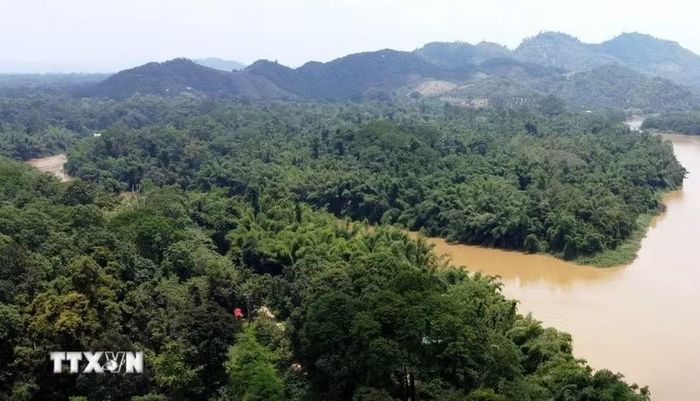 Khu cứu hộ linh trưởng tại Đảo Tiên (được bao quanh bởi sông Đồng Nai) thuộc Trung tâm Cứu hộ, Bảo tồn và Phát triển sinh vật, Vườn Quốc gia Cát Tiên, nơi đang chăm sóc, cứu hộ hàng chục cá thể linh trưởng nguy cấp. (Ảnh: Sỹ Tuyên/TTXVN)