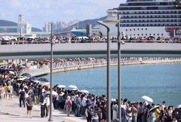 Đám đông đổ về công viên ven biển ở Busan để xem con cá mập. Ảnh: YONHAP