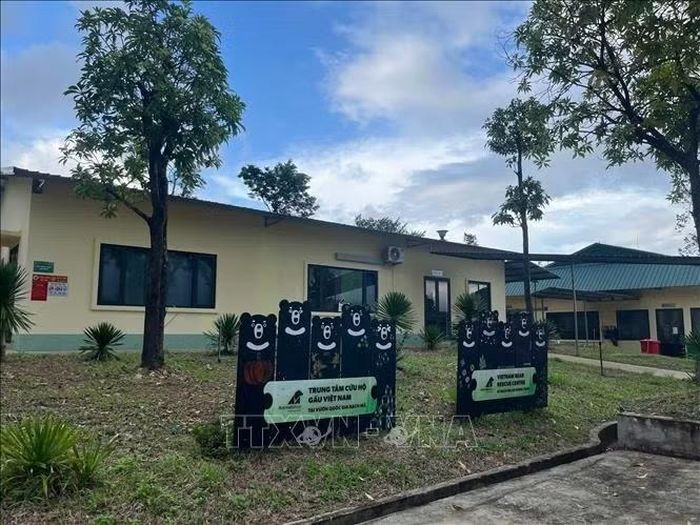 Các khu chăm sóc gấu tại Trung tâm Cứu hộ gấu Việt Nam ở Vườn quốc gia Bạch Mã, thành phố Huế.