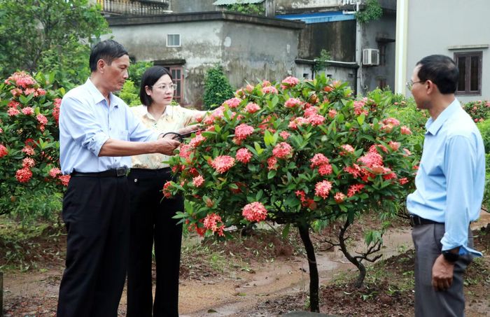 Đảng viên Chi bộ Triệu Thông, xã Hải Hậu (Ninh Bình) chia sẻ kinh nghiệm phát triển kinh tế gia đình. Ảnh: Nguyễn Lành/TXVN