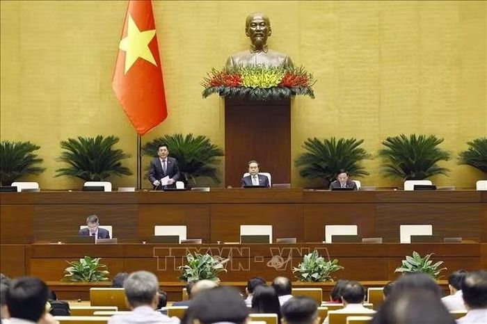 Phó Chủ tịch Quốc hội Nguyễn Hồng Diên phát biểu. Ảnh: Doãn Tấn/TTXVN.