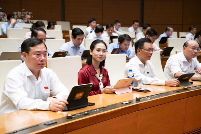 Các đại biểu tham dự phiên họp.