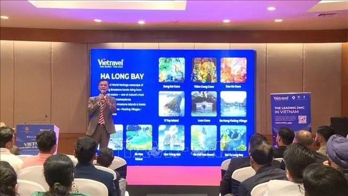 Đại diện công ty Vietravel chia sẻ thông tin về các tuyến, điểm du lịch nổi bật của Việt Nam được khách nước ngoài, trong đó có du khách Ấn Độ, yêu thích lựa chọn. Ảnh: Vũ Hà/Pv TTXVN tại Ấn Độ