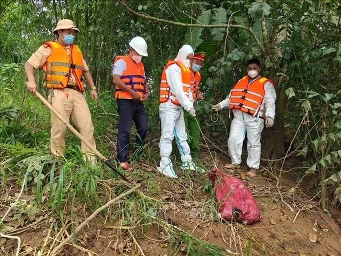 Lực lượng chức năng tỉnh Lâm Đồng thực hiện việc thu gom xác heo chết thả trôi trên sông Đồng Nai để tiêu hủy theo đúng quy định. Ảnh: TTXVN phát