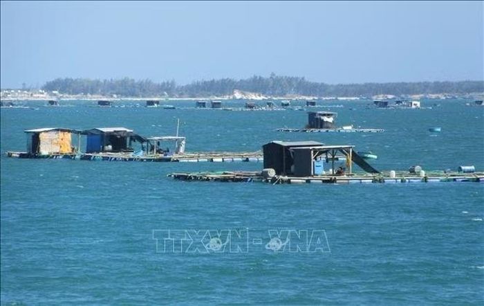Mô hình lồng bè nuôi tôm hùm, cá biển tại khu vực biển huyện Ninh Hải, tỉnh Ninh Thuận Ảnh tư liệu: TTXVN