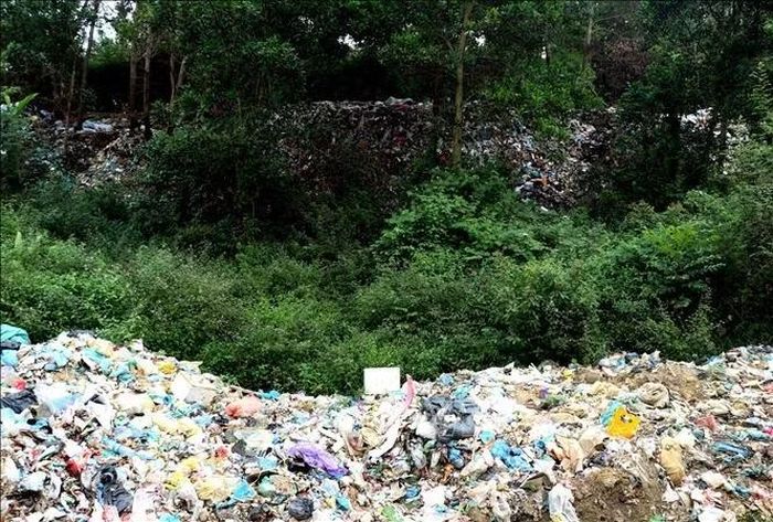 Rác thải sinh hoạt chưa qua xử lý được đổ trực tiếp tại bãi rác, phát sinh mùi hôi, ruồi nhặng, ảnh hưởng đến đời sống người dân thôn Cốc Pảng, xã Du Già.