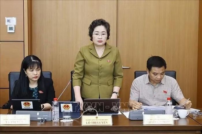 Đại biểu Quốc hội tỉnh Điện Biên Lò Thị Luyến phát biểu. Ảnh: Doãn Tấn/TTXVN