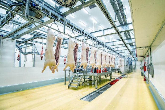 Dây chuyền sản xuất thịt ủ mát chuẩn Âu tại tổ hợp chế biến thịt MEATDeli tại Hà Nam.