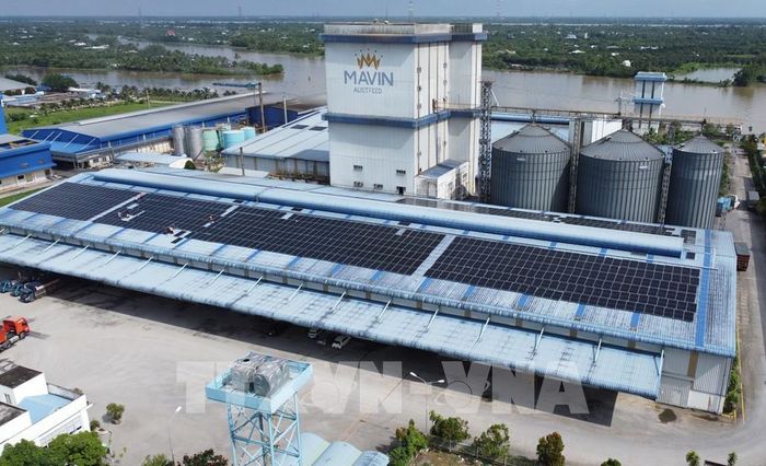 Nhà máy sản xuất thức ăn chăn nuôi Mavin Austfeed Đồng Tháp (xã Phú Hựu, tỉnh Đồng Tháp) đang được đầu tư xây dựng hệ thống điện mặt trời để phục vụ hoạt động sản xuất của nhà máy. Ảnh: Nhựt An - TTXVN