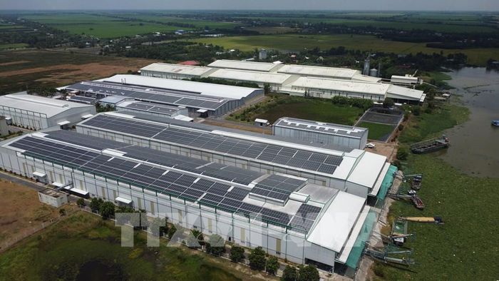 Doanh nghiệp hoạt động trong lĩnh vực lúa gạo trên địa bàn xã Trường Xuân (tỉnh Đồng Tháp) đầu tư hệ thống điện mặt trời lắp đặt trên mái nhà xưởng để phục vụ hoạt động sản xuất. Ảnh: Nhựt An - TTXVN