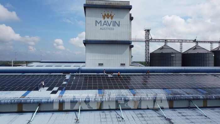 Công nhân thi công lắp đặt những tấm pin năng lượng mặt trời trên mái nhà của Nhà máy sản xuất thức ăn chăn nuôi Mavin Austfeed Đồng Tháp (xã Phú Hựu, tỉnh Đồng Tháp). Ảnh: Nhựt An - TTXVN 