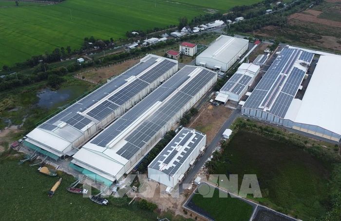 Doanh nghiệp hoạt động trong lĩnh vực lúa gạo trên địa bàn xã Trường Xuân (tỉnh Đồng Tháp) đầu tư hệ thống điện mặt trời lắp đặt trên mái nhà để phục vụ hoạt động sản xuất. Ảnh: Nhựt An - TTXVN