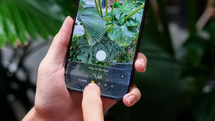 Khẩu độ ƒ/1,48 giúp camera chính lấy nhiều sáng khi chụp đêm.