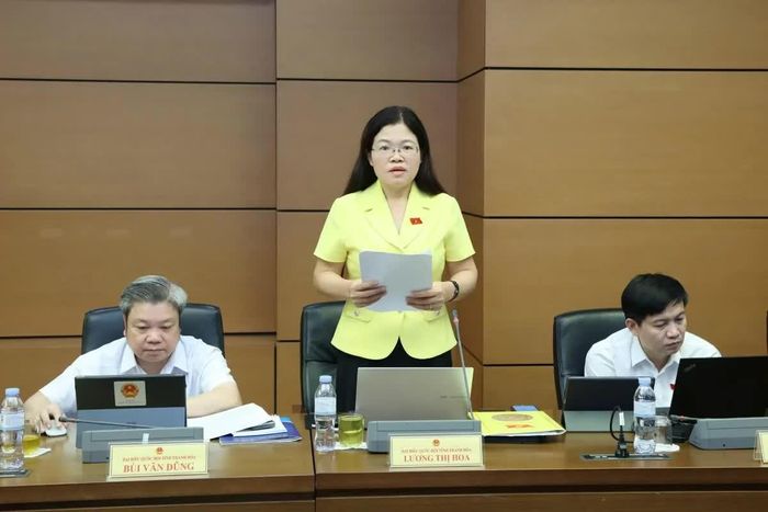 Đại biểu Lương Thị Hoa, Phó Trưởng Đoàn ĐBQH tỉnh Thanh Hóa. Ảnh: An Nhiên