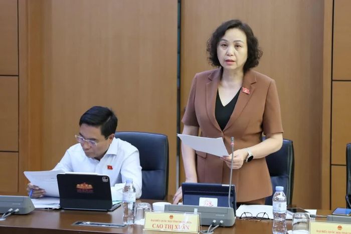Đại biểu Cao Thị Xuân, Đoàn ĐBQH tỉnh Thanh. Ảnh: An Nhiên