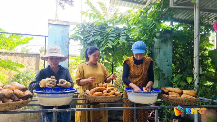 Những lao động lớn tuổi có hoàn cảnh khó khăn được giải quyết việc làm tại Cơ sở Hương Bột của chị Lê Thị Hương (tổ dân phố La Qua, phường Điện Bàn). Ảnh: D.LỆ