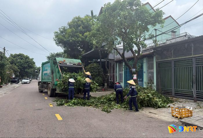 Công nhân môi trường thu gom rác thải lá cây trước mùa mưa bão tại phường Bàn Thạch. Ảnh: HỒ QUÂN