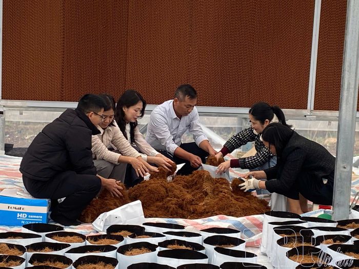 Cán bộ Trung tâm Khuyến nông - Giống cây trồng vật nuôi trộn đất làm giá thể ươm giống cây trồng.