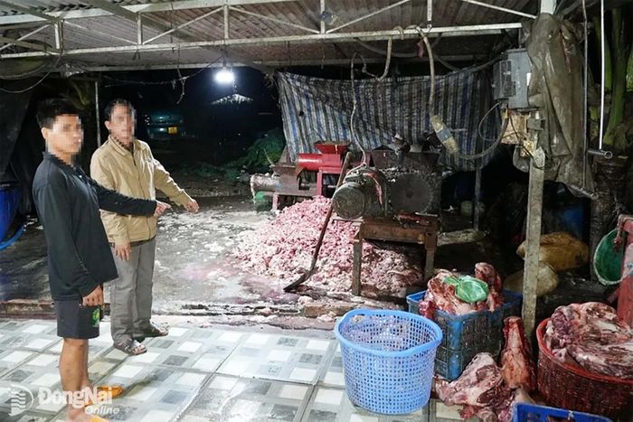 Cơ sở chế biến thịt heo bệnh của các đối tượng. Ảnh: CATP