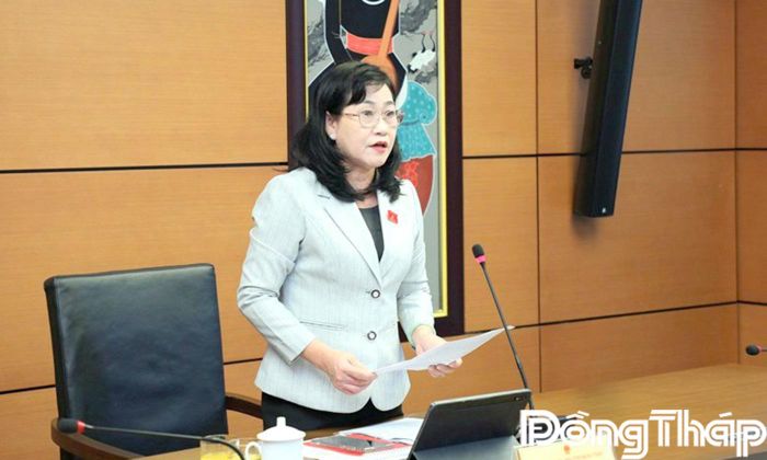 Đồng chí Châu Thị Mỹ Phương, Phó Bí thư Tỉnh ủy, Trưởng đoàn Đại biểu Quốc hội tỉnh Đồng Tháp, phát biểu kết luận, tổng hợp các ý kiến tại phiên thảo luận Tổ.
