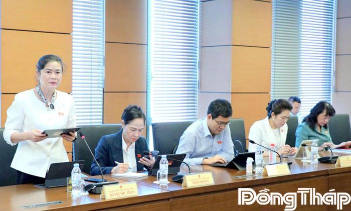 Đại biểu Đỗ Thị Thu Thảo phát biểu thảo luận.