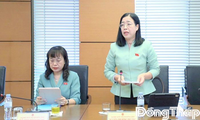Đại biểu Nguyễn Thị Hồng Phượng, đại biểu Quốc hội tỉnh Đồng Tháp, phát biểu thảo luận.