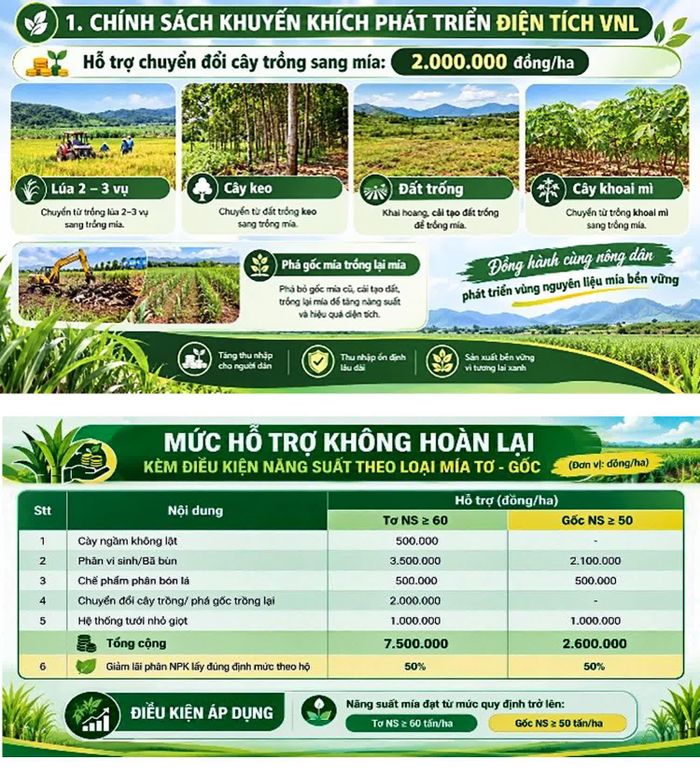 Một số chính sách đầu tư được AgriS Ninh Thuận áp dụng cho niên vụ 2026 - 2027.