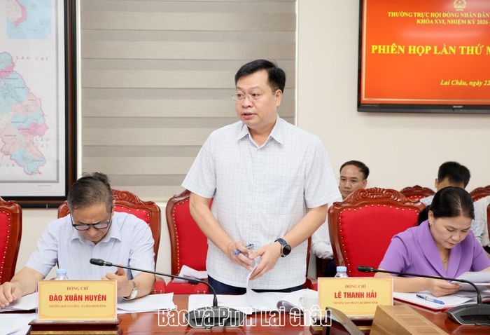Lãnh đạo Ban Pháp chế HĐND tỉnh phát biểu tại phiên họp. 