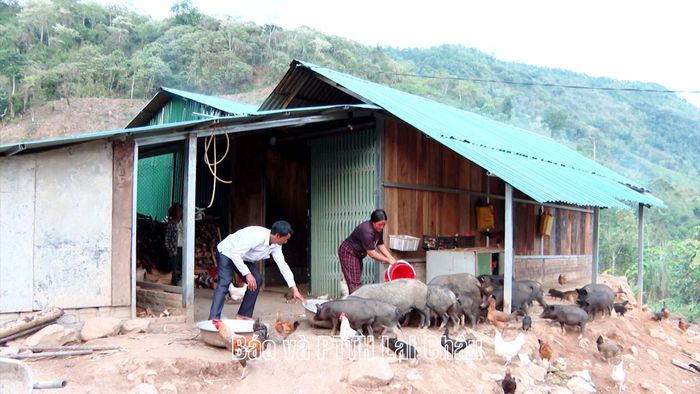 Bà con La Hủ (xã Pa Ủ) phát triển kinh tế từ chăn nuôi gia súc, gia cầm.