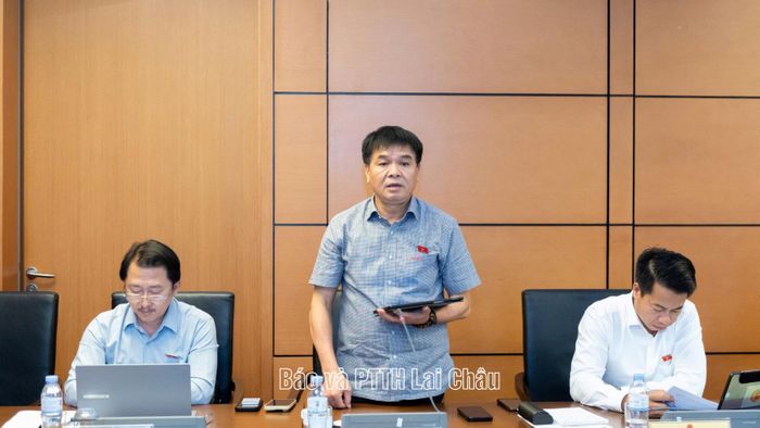 Đại biểu Nguyễn Hữu Toàn tham gia ý kiến thảo luận.