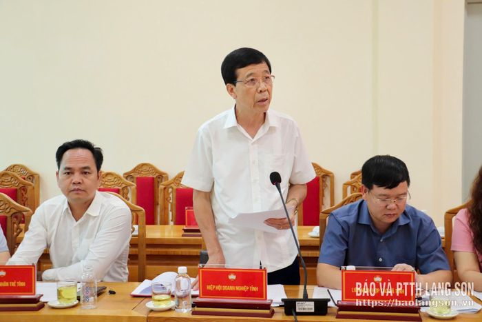 Đại diện Hiệp hội Doanh nghiệp tỉnh trình bày tham luận tại hội thảo