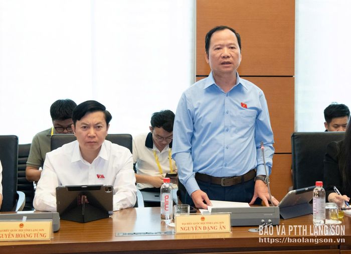 Đại biểu Nguyễn Đặng Ân, Phó Trưởng Đoàn đại biểu Quốc hội tỉnh phát biểu thảo luận tại tổ