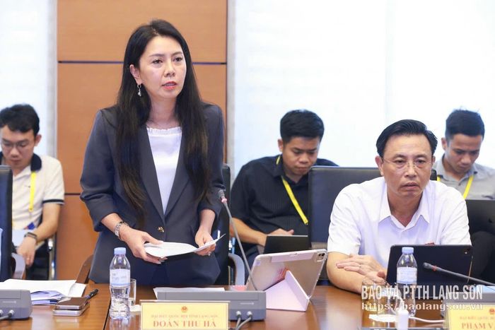 Đại biểu Đoàn Thu Hà, Phó Bí thư Tỉnh ủy, Trưởng Đoàn đại biểu Quốc hội tỉnh phát biểu thảo luận tại tổ